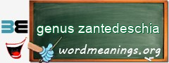 WordMeaning blackboard for genus zantedeschia